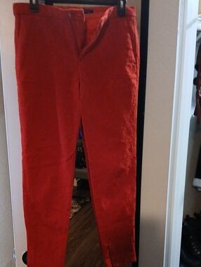 Zara Womans Floral Textured Pants in Red